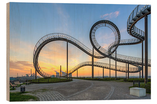 Wood print Tiger and Turtle Duisburg