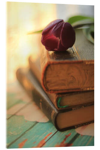 Acrylglas print Old books in sunlight