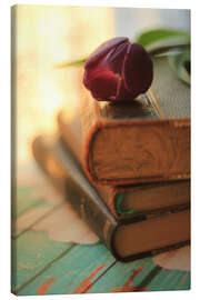 Lerretsbilde Old books in sunlight