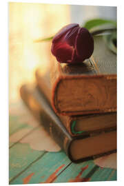 Foam board print Old books in sunlight