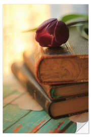 Selvklebende plakat Old books in sunlight