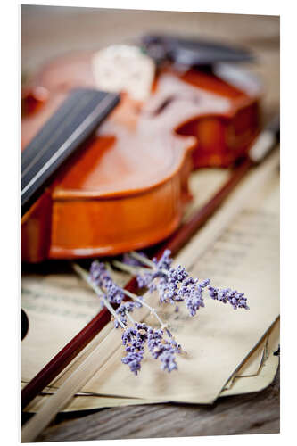 Foam board print Vintage composition with violin and lavender