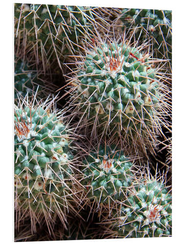 Tableau en PVC Prickly Lumps