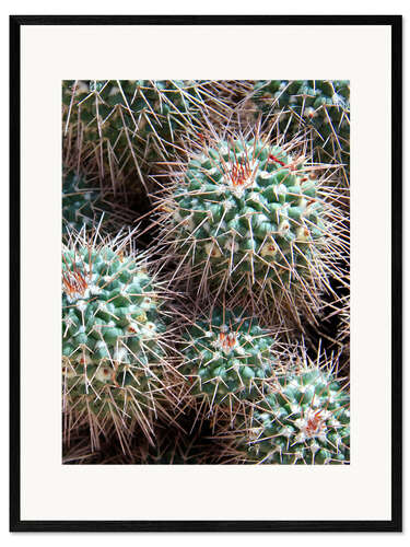 Framed art print Prickly Lumps