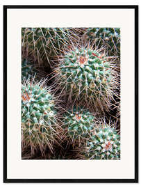 Innrammet kunsttrykk Prickly Lumps