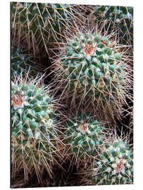 Magnettafel Stachelige Knubbel