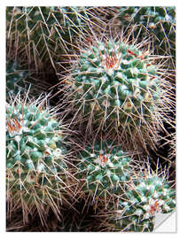 Wall sticker Prickly Lumps