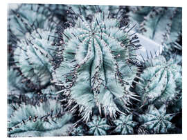 Acrylic print Corrugated cacti