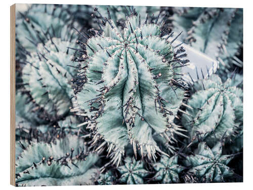 Wood print Corrugated cacti