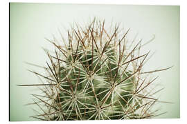 Cuadro de aluminio Small cactus, long spikes