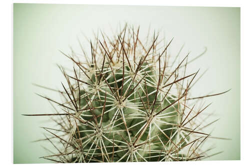 PVC print Small cactus, long spikes