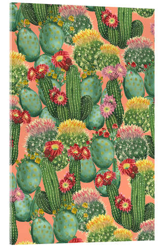 Acrylic print cactus meadow