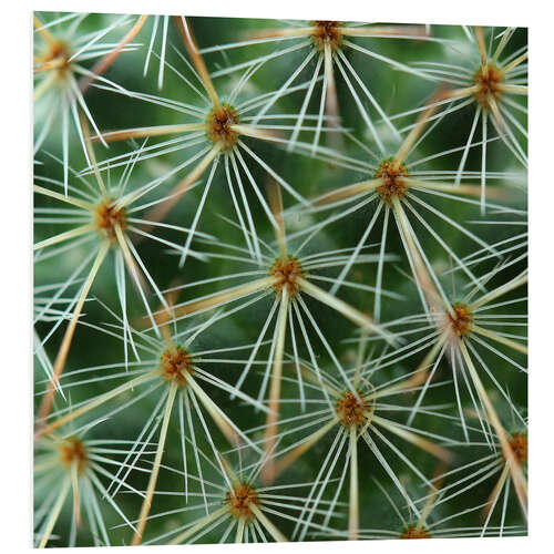 PVC-taulu cactus pattern