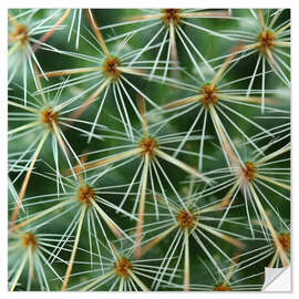 Vinilo para la pared cactus pattern