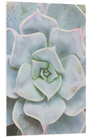 Foam board print Pale Green Plant