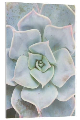 Gallery print Pale Green Plant