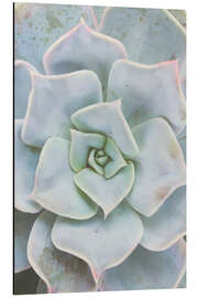 Magnettafel Blassgrüne Sukkulente