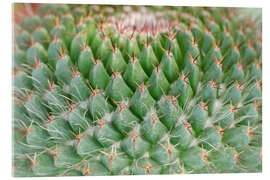 Acrylic print cactus pattern