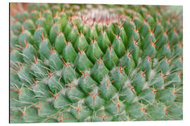 Quadro em alumínio cactus pattern