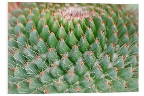 Tableau en PVC cactus pattern