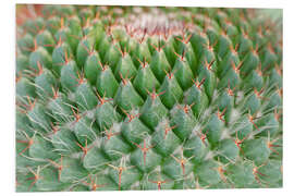 Tableau en PVC cactus pattern