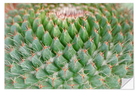 Selvklebende plakat cactus pattern