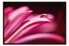 Gerahmter Kunstdruck Blütenperle