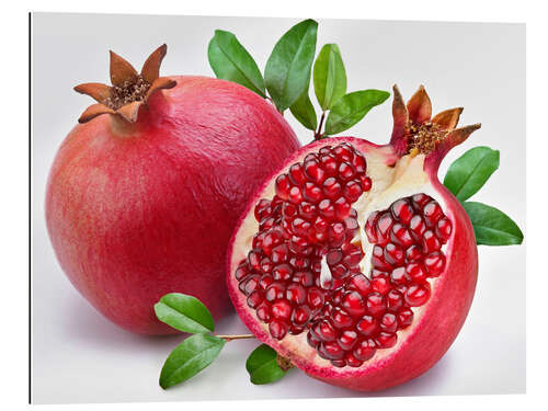 Gallery print pomegranate