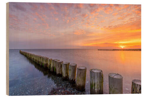 Tableau en bois Sunrise on the sea Baltic Sea Fehmarn