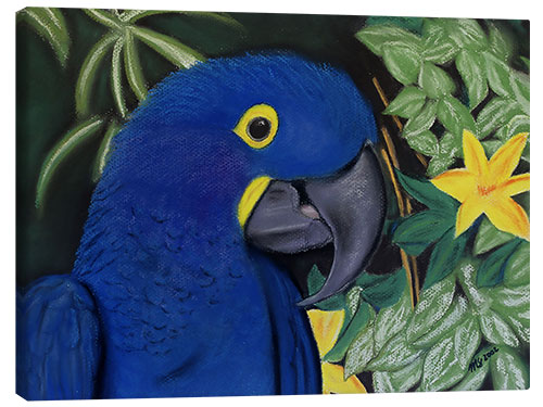 Canvas print Hyacinth Macaw Portrait