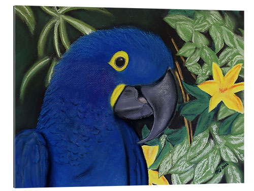 Galleritryk Hyacinth Macaw Portrait