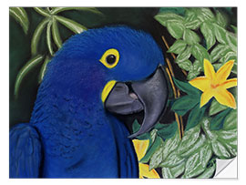 Sticker mural Hyacinth Macaw Portrait