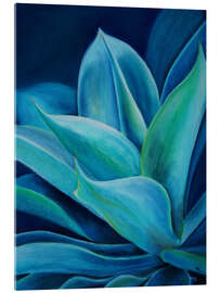 Acrylglasbild Agave