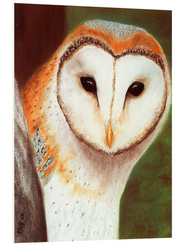 Foam board print Barn Owl Leonie