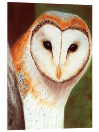 Quadro em plexi-alumínio Barn Owl Leonie