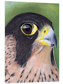 Quadro em PVC Attentive Peregrine Falcon