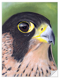 Autocolante decorativo Attentive Peregrine Falcon