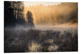 Cuadro de aluminio Foggy morning on the lake