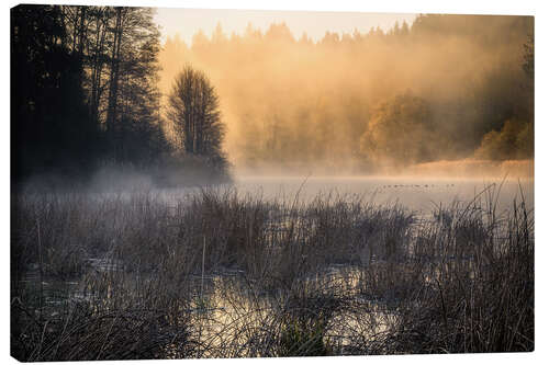 Stampa su tela Foggy morning on the lake