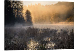 Gallery print Foggy morning on the lake