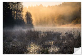 Selvklebende plakat Foggy morning on the lake