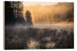 Tableau en bois Brouillard matinal sur le lac