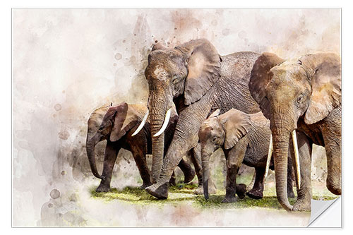 Naklejka na ścianę Elephants II