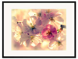 Gerahmter Kunstdruck Frühlingsgefühle
