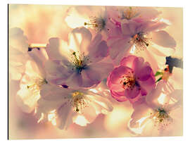 Magnettafel Frühlingsgefühle