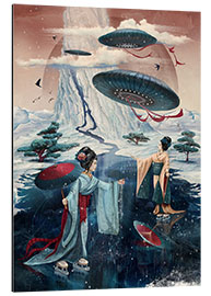 Aluminium print winter ufo slip