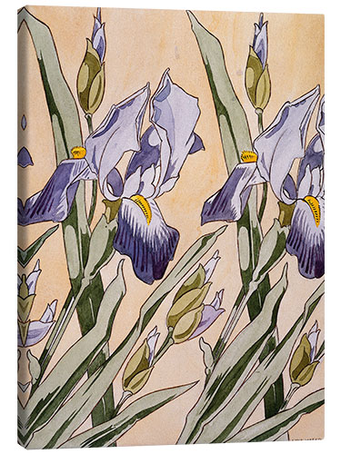 Tableau sur toile Iris