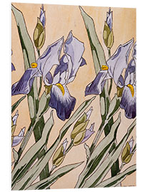 Foam board print Iris