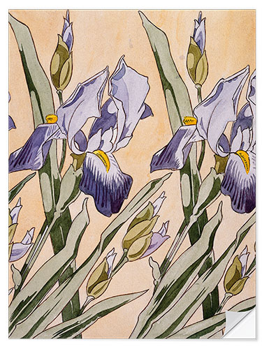 Sticker mural Iris