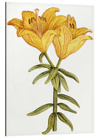 Tableau en aluminium Yellow Lily